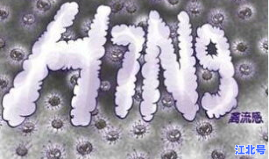 河北病毒有多少例？深圳发现一例病毒