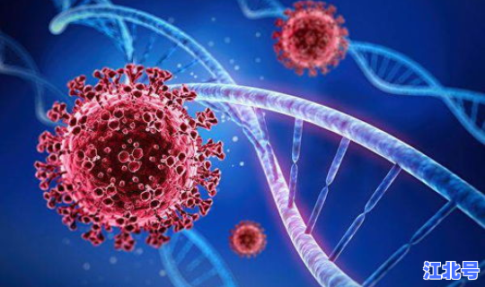 美国现在新冠病毒死亡率是多少 新冠病毒会死人吗