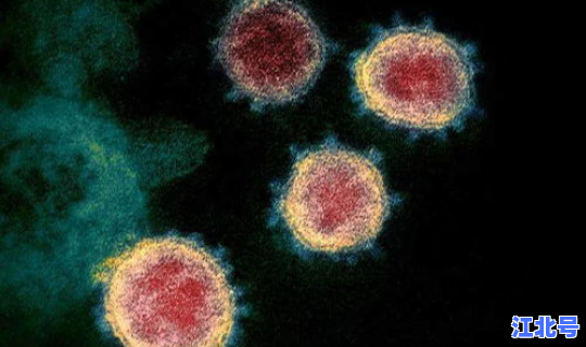 新冠病毒无症状者传染性大吗？新冠无症状感染者具有什么特点