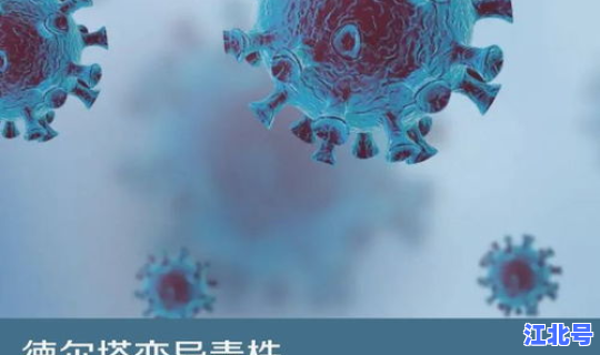 德尔塔变异毒株危害，德尔塔变异毒株的特点