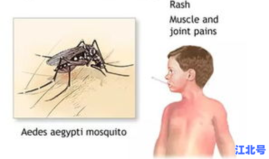 登革热确诊病例有奖吗？中国有登革热吗