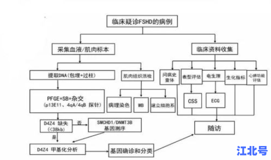 学校发生疫情上报流程(传染病上报的流程是怎样的)