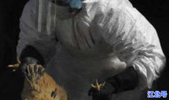 无症状感染者可以治疗好吗，艾滋感染者症状