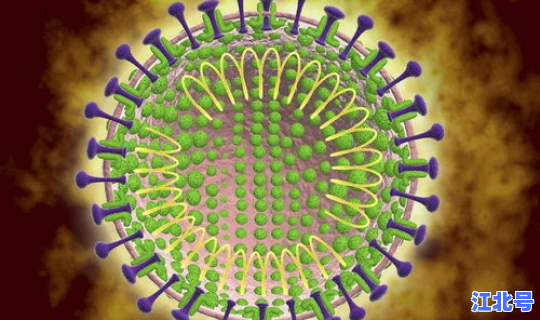 新冠状病毒第二次爆发的时间？新型冠状病毒爆发时间