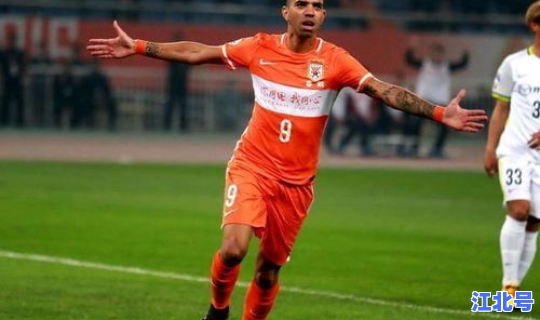 巴西塔尔德利，塔尔德利在巴西的地位