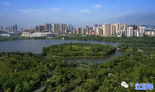 青岛城市绿化率全国排第几位？青岛是什么级别的城市