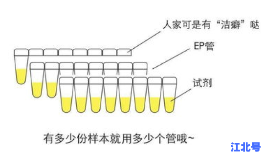 核酸检测的具体步骤	，核酸检测步骤