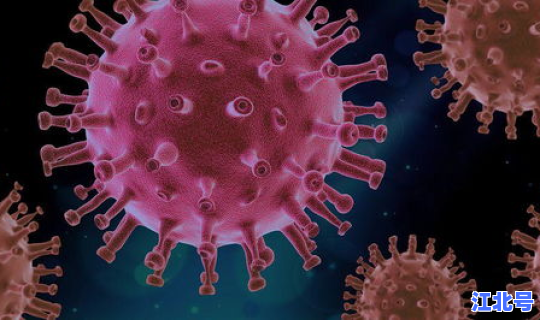石家庄市新冠病毒情况？冠状新型病毒