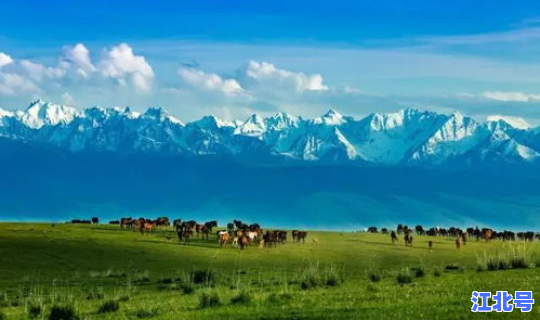 新疆七月旅游	，新疆最好几月份去