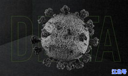 新冠病毒是否与人类长期共存？新冠病毒会在体内长期存在吗