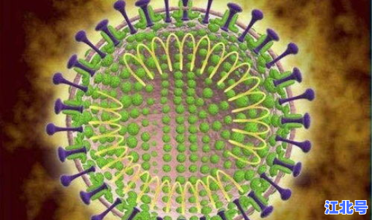 新型冠状肺炎病毒最新数据 冠状病毒感染性肺炎症状