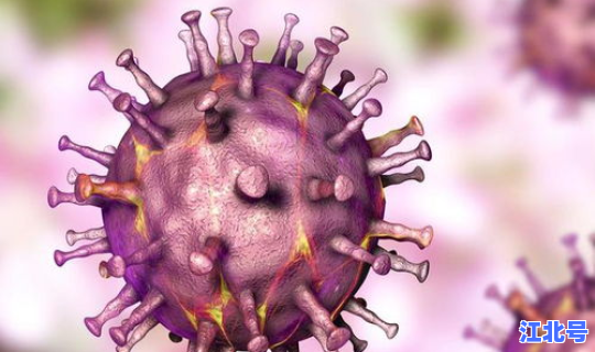 新冠新变异株(变异株)
