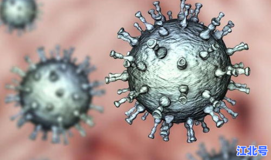 本次变异病毒叫什么(病毒为什么会变异)