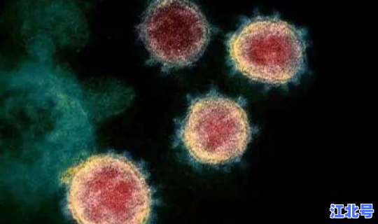 海口新增1例新冠肺炎(新冠肺炎毒第一例)