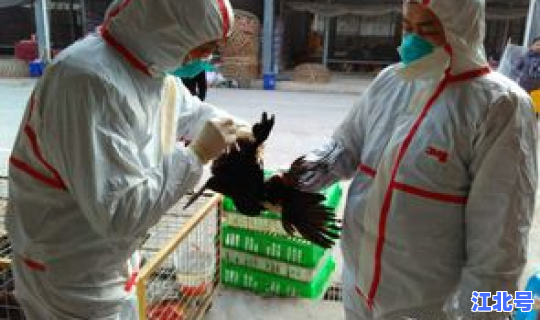 洛阳疫情有多严重？洛阳流感疫情最新消息