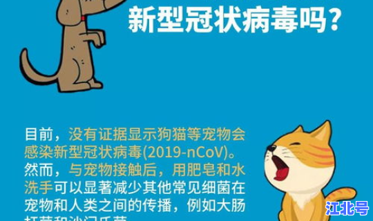 北京哪里有疫情啊？北京现在有什么病毒感染