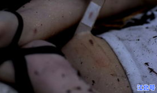 温州杀人碎尸案 碎尸案原型