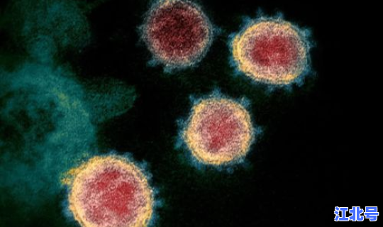 英国新冠病毒最新数据消息 美国 病毒