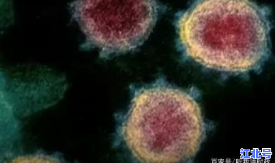 美国新冠肺炎感染者？新型冠状病毒肺炎感染