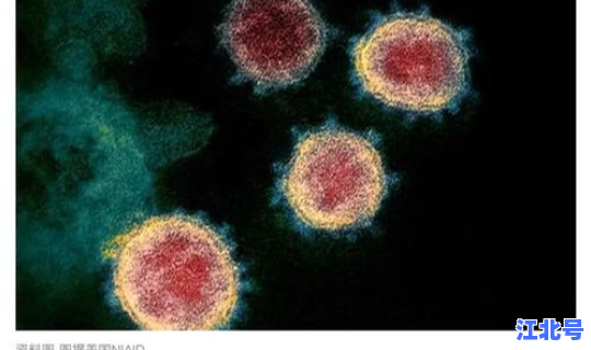 新冠病毒最早开始时间？新冠病毒是从哪一年开始的？