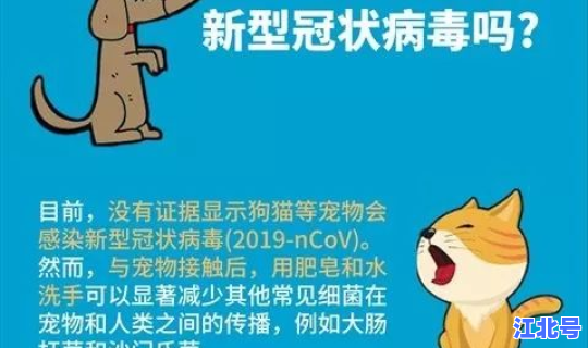 新型冠状病毒无症状感染会传染吗？新型冠状病毒感染症状