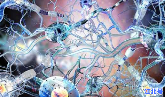 德尔塔毒株感染会死吗，新冠德尔塔毒株死亡率是多少？