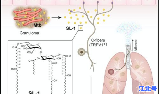 感染新冠的经历和感受 感染冠状病毒多久发病