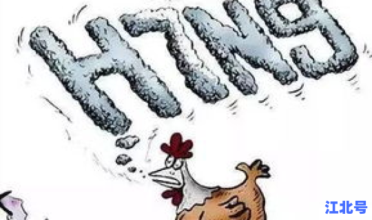 禽流感病毒的结构特点 得了禽流感的第一症状