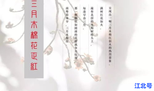 清明节幽默笑话大全？清明节是几月几日？