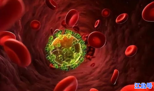 山西省无症状感染者在哪儿	，艾滋病病毒感染者是指