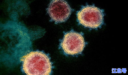 新冠病毒现在在哪里？ 新冠病毒是哪里传出来的
