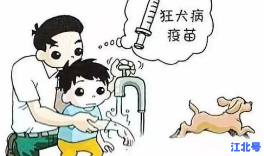 沈阳没打疫苗可以坐车么(沈阳24小时打狂犬疫苗)