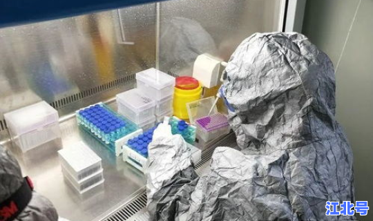 西安核酸检测系统(核酸检测试剂盒)