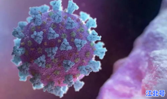 上海山东发现变异病毒 上海有病毒吗