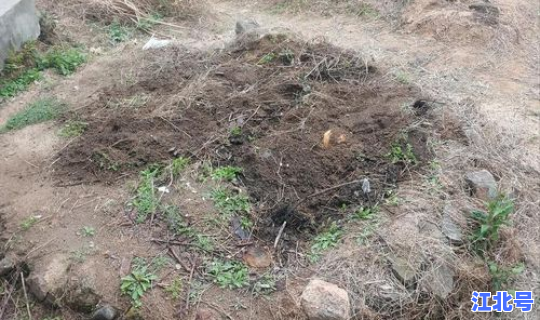 清明节啥时候封坟好(清明节可以修坟墓吗)