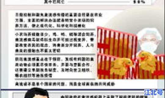 新疆疫情发展情况最新消息，新疆爆发禽流感