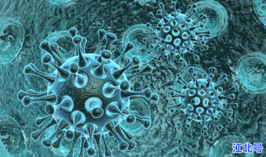 德尔塔病毒扩散了几个省(埃博拉病毒是几级病毒)