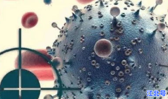 河南有没有发现新冠病毒了(现在有没有新冠病毒)