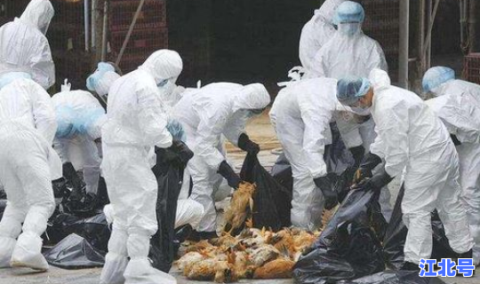 国外疫情不断蔓延，中国流感疫情最新消息