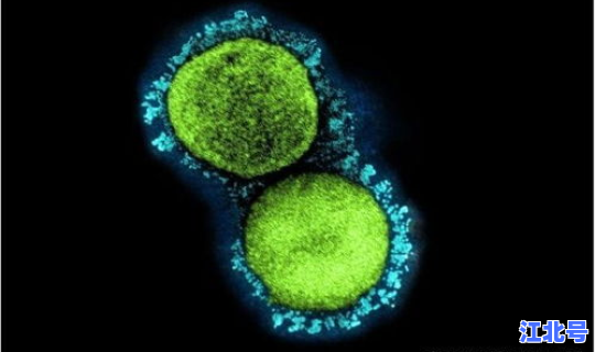 德尔塔变异毒株病毒传播方式为，下列哪个是德尔塔病毒株的变异位点