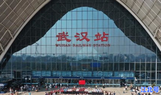 河北疫情因为啥封城(武汉疫情什么时候封城)