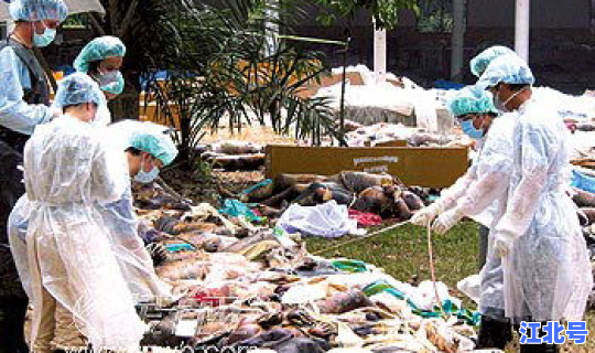 目前国内疫情重灾区有哪些 中国疫情有哪些