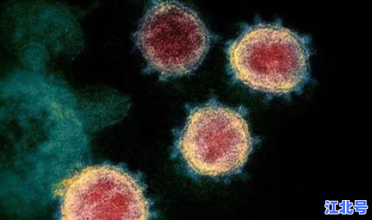 新冠病毒无症状感染者是啥意思啊，新型病毒症状
