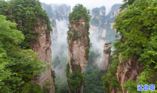 张家界新增案例？张家界景区案例