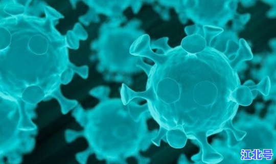 日本病毒源头？朊病毒最早的起源