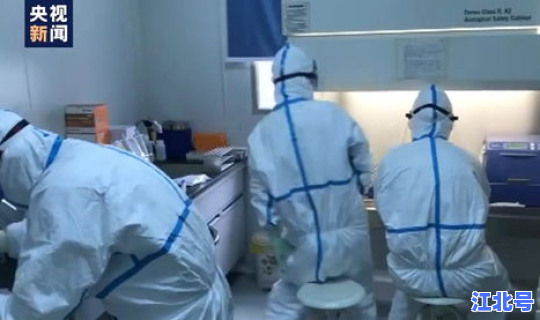 张文宏 上海人 张文宏现在在哪里工作