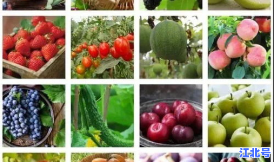 广州哪里有可以摘水果的果园？广州哪里有采摘水果的地方