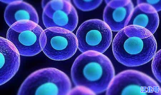 核酸检测啥时候出来的？核酸检测为什么不能排除hiv