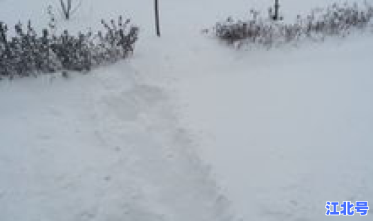 东北那年雪最大？是不是2008年那年雪下的最大