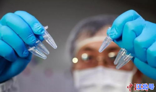 疫情高峰期在哪 疫情是什么时候？